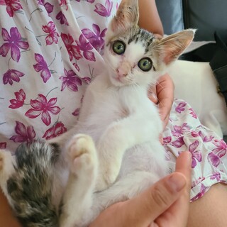 甘えん坊な男の子