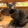 のんびり静かに寄り添います。遊ぶのも大好きです。