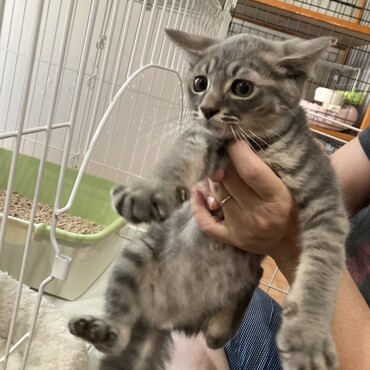 げんくん♪