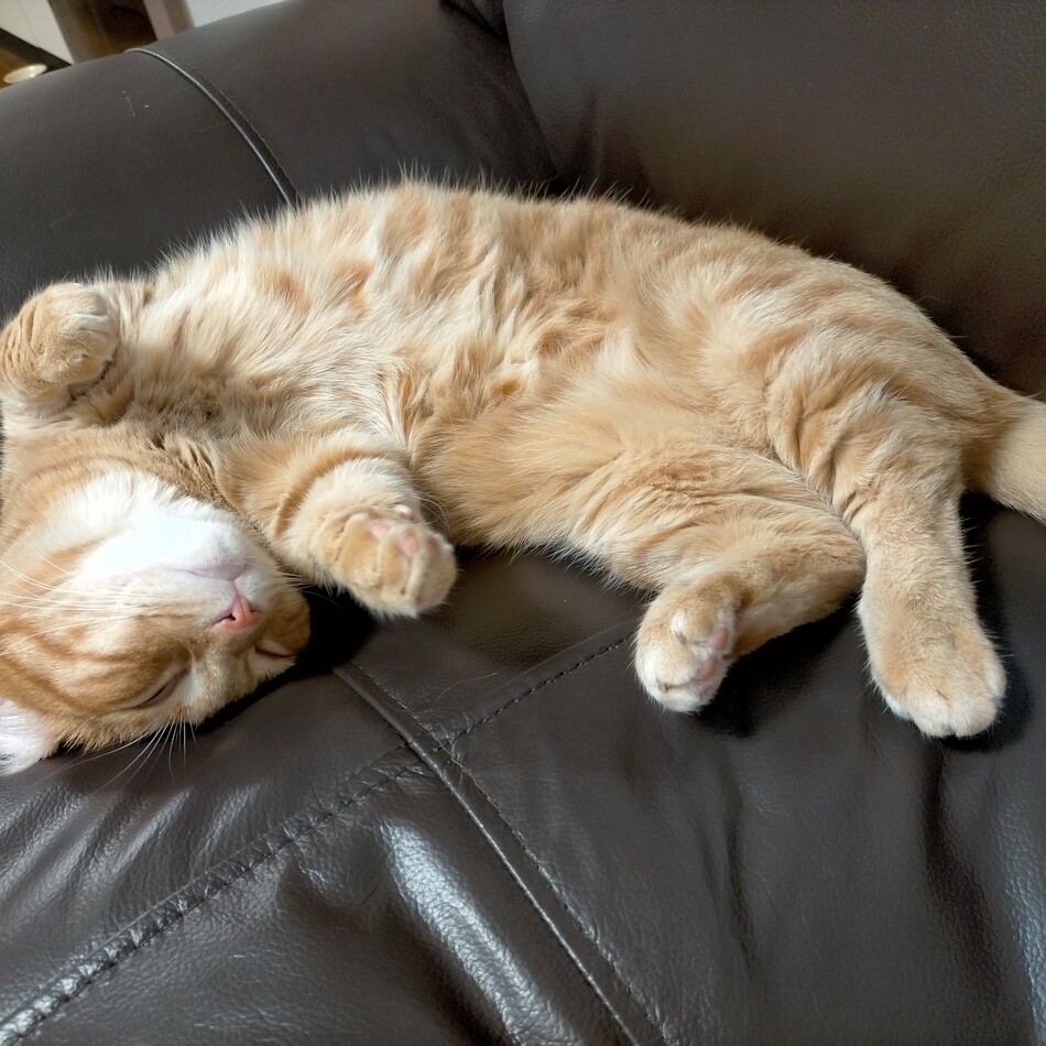 福のカバー写真