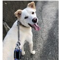 素直で明るい性格のノア君