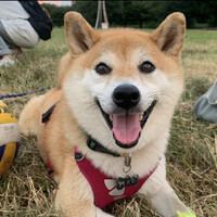 まる