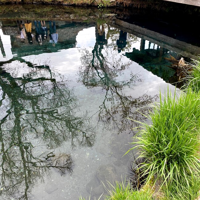 のんのん96のカバー写真