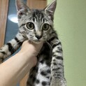 ハンデがあるのを忘れます！