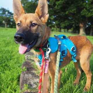 「一平」男の子