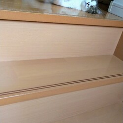 「確かに・・猫が落ちてる」サムネイル1