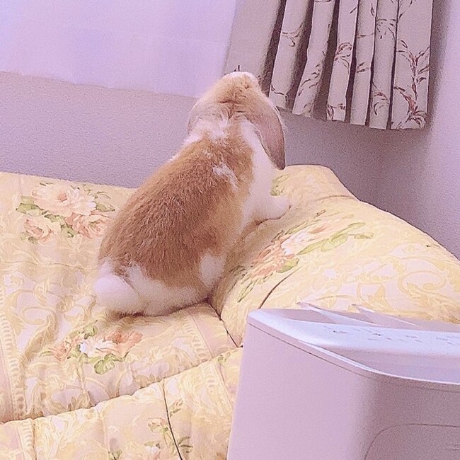 ラヴ's lifeのカバー写真