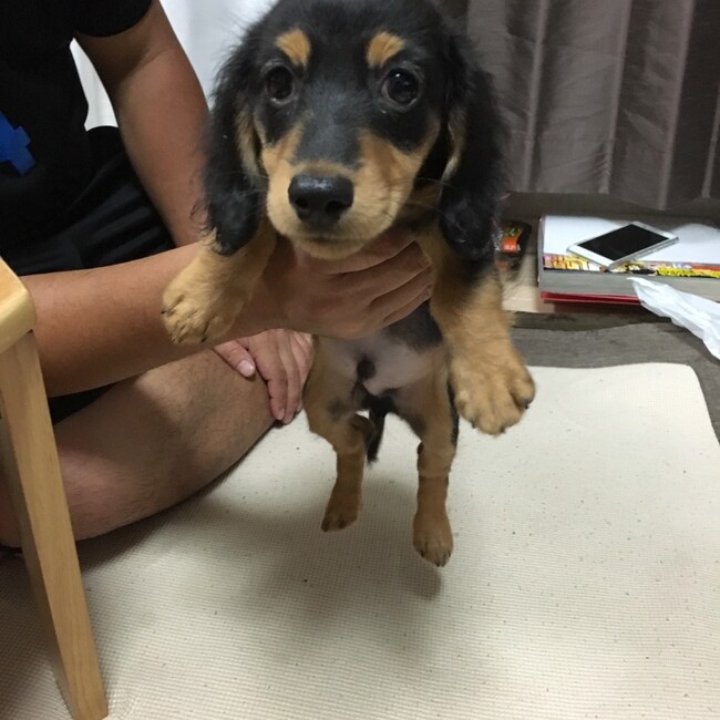 tabascoのカバー写真