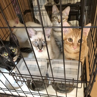 ✳︎✳︎綺麗な兄妹です✳︎✳︎