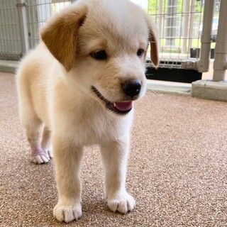 好奇心いっぱいの王子さま“モルツくん”