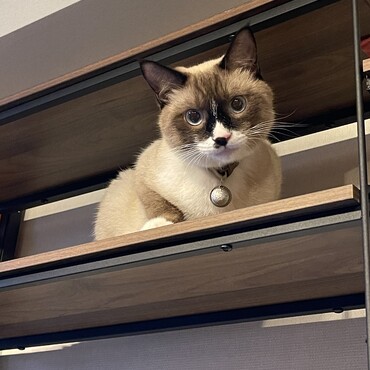 来月で１歳になります！