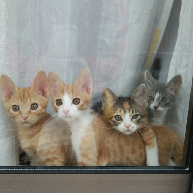 春夏秋冬のカバー写真