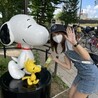 ふじさお