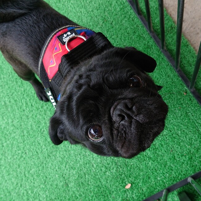 いずみちのカバー写真