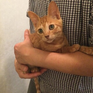 とても人馴れしています♡空くん
