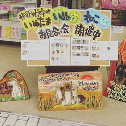 第二回　いぬねこお見合い会