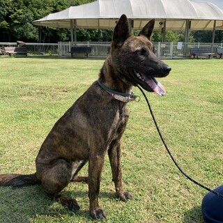 とっても元気なくらら♪ 1歳宜しくお願いします