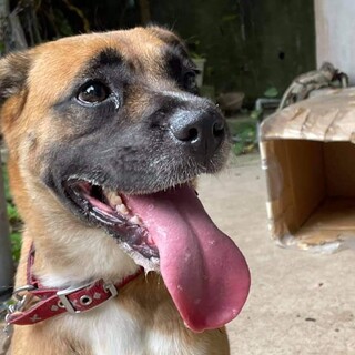 とっても目がクリクリな 『ゆきちちゃん』