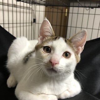 ずっとお家に入りたかった…ボテンくん