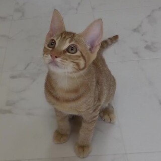 次元くん☆3ヶ月