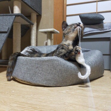 の写真