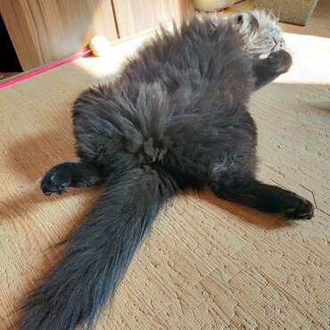 の写真