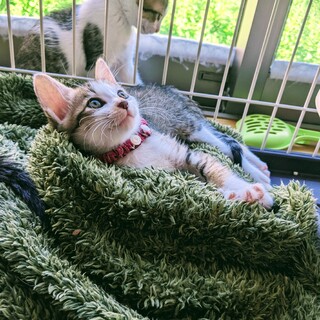 すっきり美人♡甘えん坊の女のコ