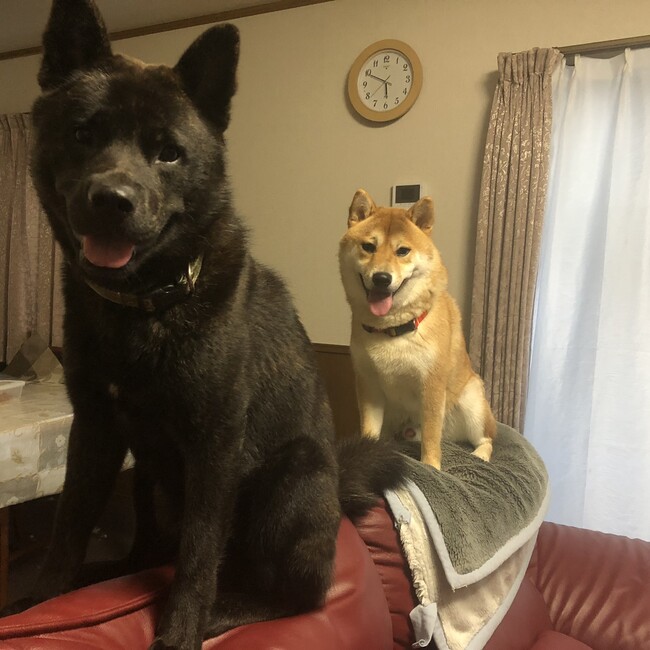 あずきえいじのカバー写真