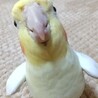 えみこ1221