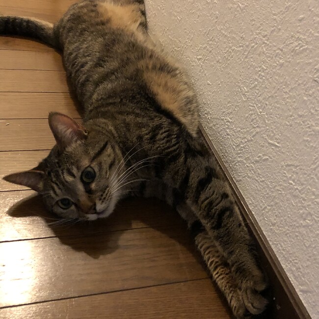 ららここのカバー写真