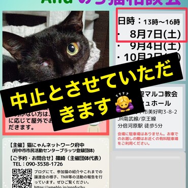 8/7(土)譲渡会は中止です！