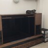 エル（元シンバ）5年前にこのサイトで里親になった子です。体も幸せもエルsize！名前の通りになりました！