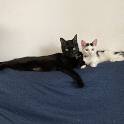 てっちゃん、それはワルいふたり