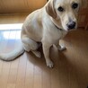 Kateママ