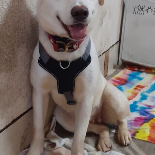 「文月（ふづき）」女の子