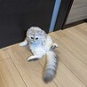 かおるかお