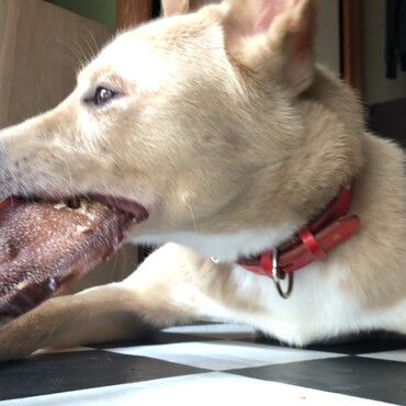 大好物　牛タンの皮