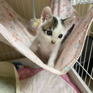 一人ぼっちになっちゃった✨