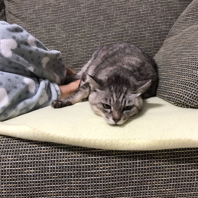 mike0617のカバー写真
