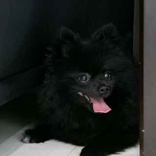 ありがとうございました！