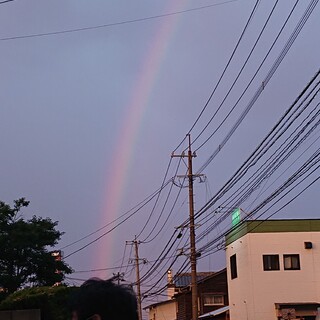 ウサギさんの里親募集