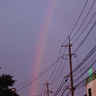 3ヶ月のウサギちゃん募集