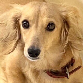 i21-W512 美しすぎるお嬢さん♪