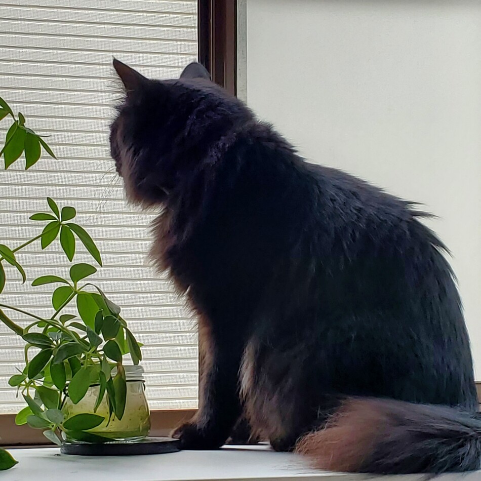 ちるのカバー写真