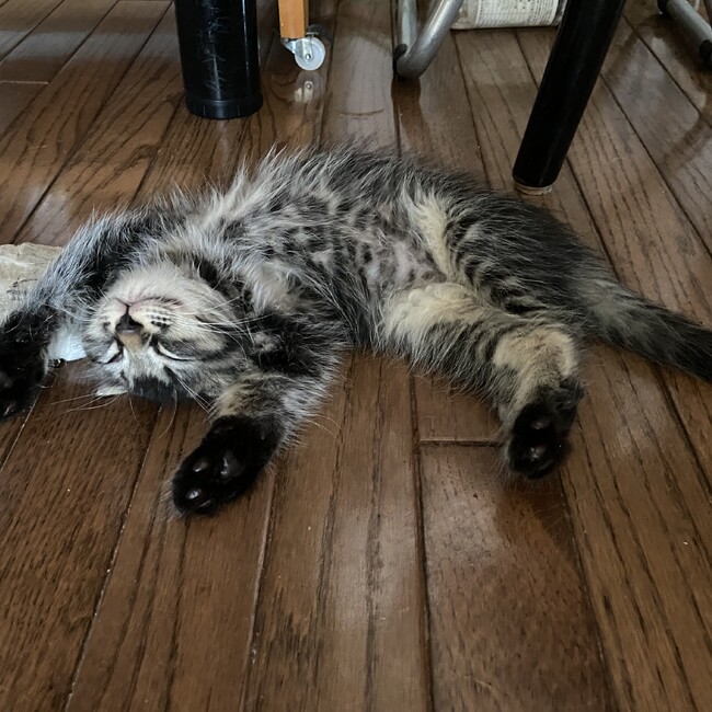ai0114のカバー写真