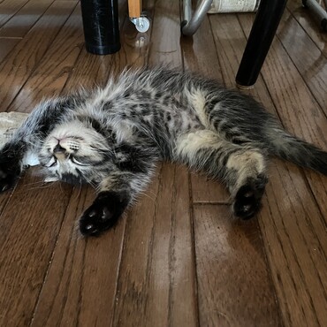 の写真