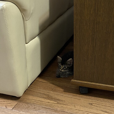 の写真