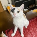 至急！助けてください！