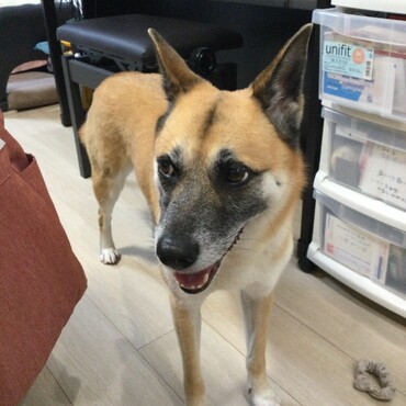 の写真