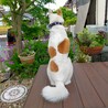 外を眺める
